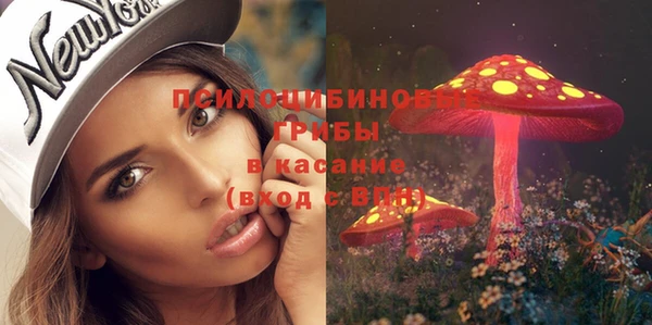 мяу мяу мука Арсеньев