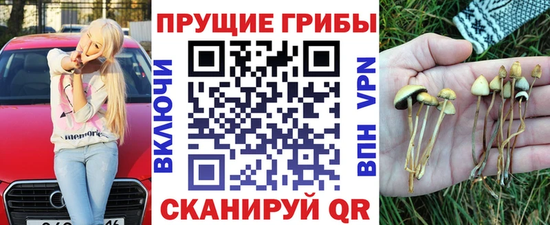 купить наркотики цена  omg маркетплейс  Галлюциногенные грибы Psilocybe  Бахчисарай 